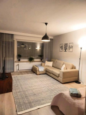Spacious and Cozy Home with Large Balcony & Free Parking, Rovaniemi